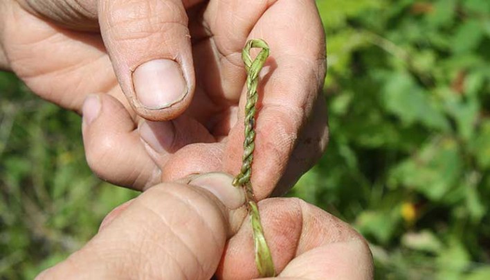 Cómo hacer que la cuerda de Plantas - Hacer Cordelería Natural