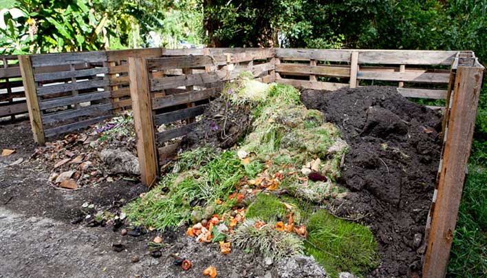 Home Gardening Method Most Popular In