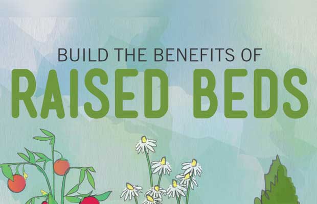 How to build raised garden beds.