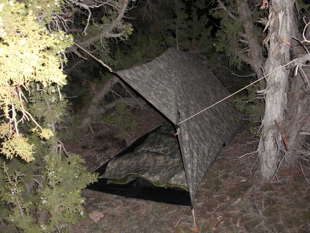 Tarps are great shelter options that are lightweight and easy to put up/take down.
