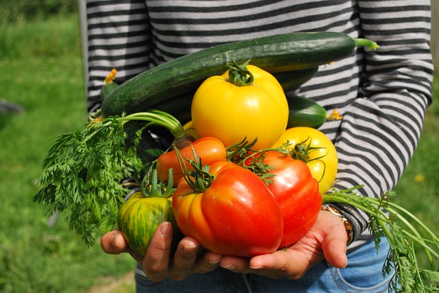 For a well-rounded plan, growing your own food will give you the most flexibility.