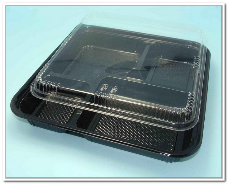 disposable-plastic-containers