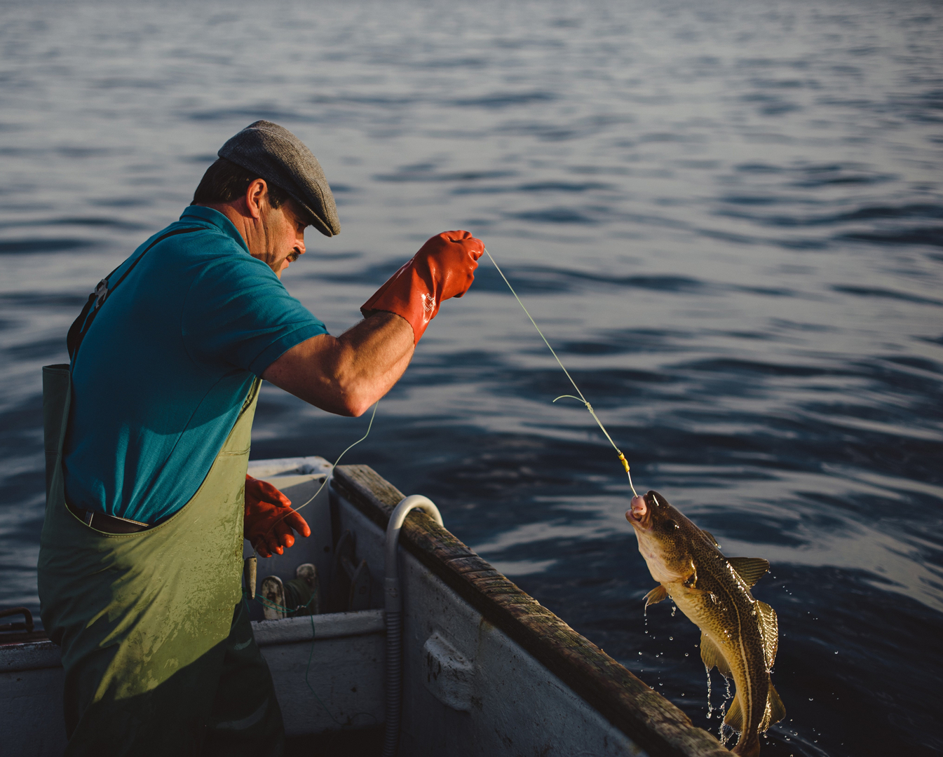 7 Techniques for Catching Fish in a Survival Situation The Prepper