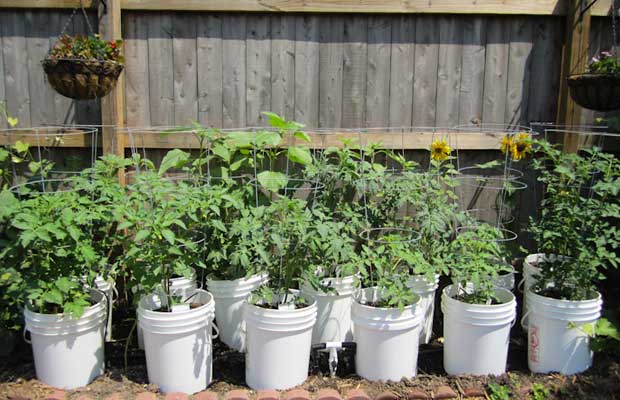 best 5 gallon bucket